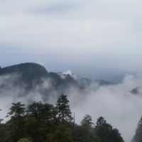 評論圖片 3