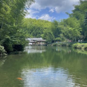 評論圖片 2