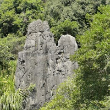 評論圖片 8