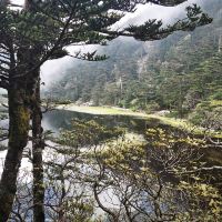 評論圖片 3