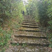 評論圖片 3