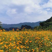 評論圖片 9