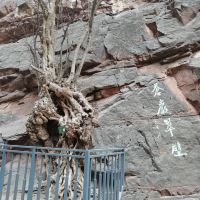 評論圖片 3