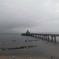 評論圖片 8