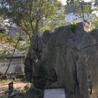 評論圖片 5