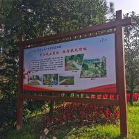評論圖片 1