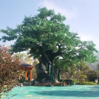 評論圖片 5