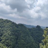 評論圖片 1