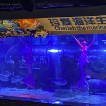 評論圖片 5