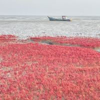 評論圖片 1