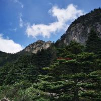 評論圖片 6