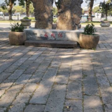 評論圖片 2