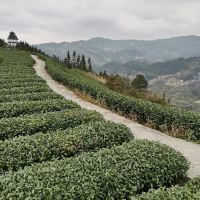 評論圖片 7