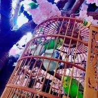 評論圖片 3
