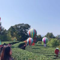 評論圖片 1
