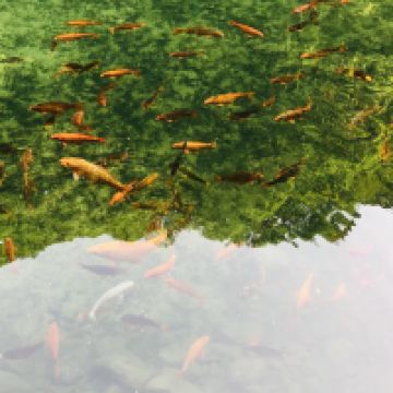 評論圖片 2