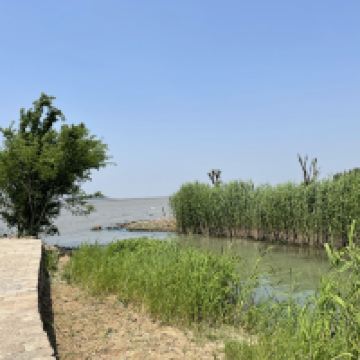 評論圖片 6
