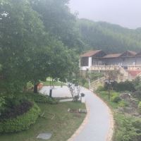 評論圖片 2