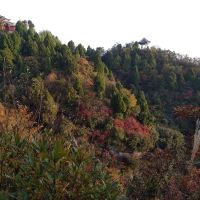 評論圖片 1
