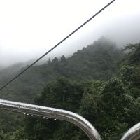 評論圖片 7