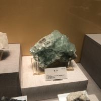 評論圖片 6