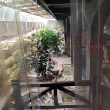 評論圖片 3