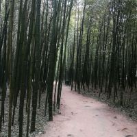 評論圖片 4