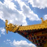 評論圖片 3