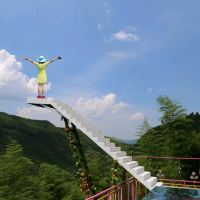 評論圖片 5