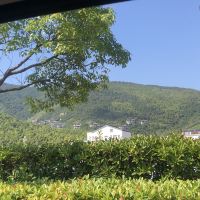 評論圖片 6
