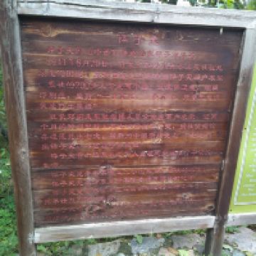 評論圖片 8