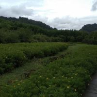 評論圖片 5