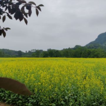 評論圖片 2