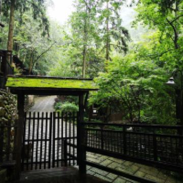 評論圖片 9