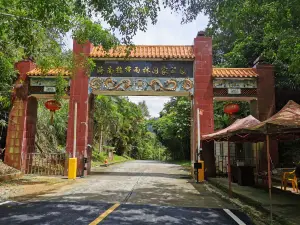 Tropic Rain Forest Scenery Spot of Five Finger Mountain