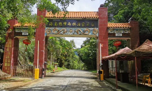 Tropic Rain Forest Scenery Spot of Five Finger Mountain