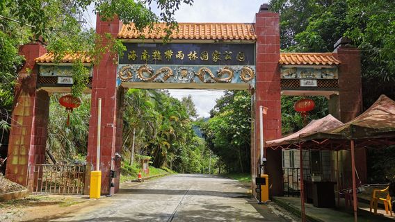 Tropic Rain Forest Scenery Spot of Five Finger Mountain
