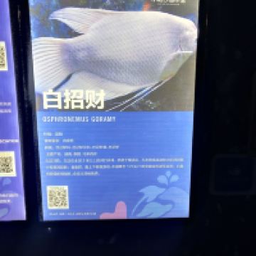 評論圖片 6