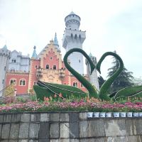 評論圖片 4