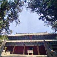 評論圖片 3