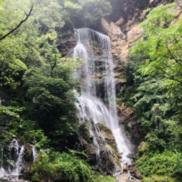 評論圖片 3
