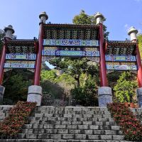 評論圖片 1