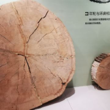 評論圖片 6