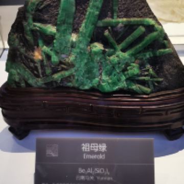 評論圖片 4