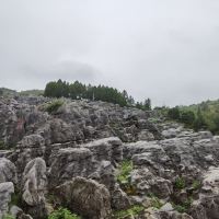 評論圖片 5