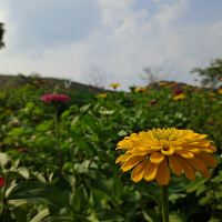 評論圖片 5