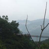 評論圖片 1