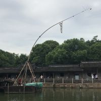 評論圖片 3