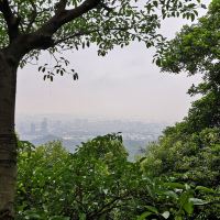 評論圖片 1
