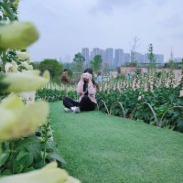 評論圖片 4